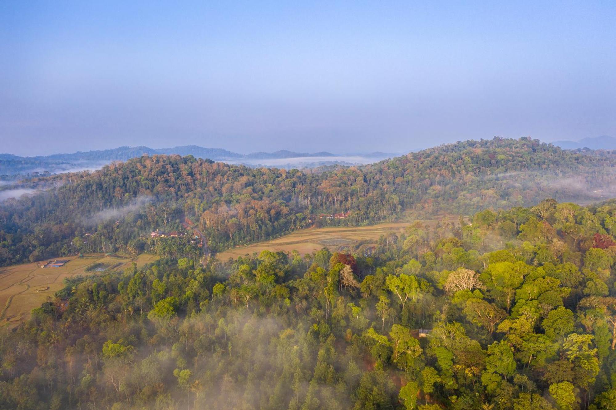 Ama Stays & Trails, Rare Earth Estate Madikeri Eksteriør bilde